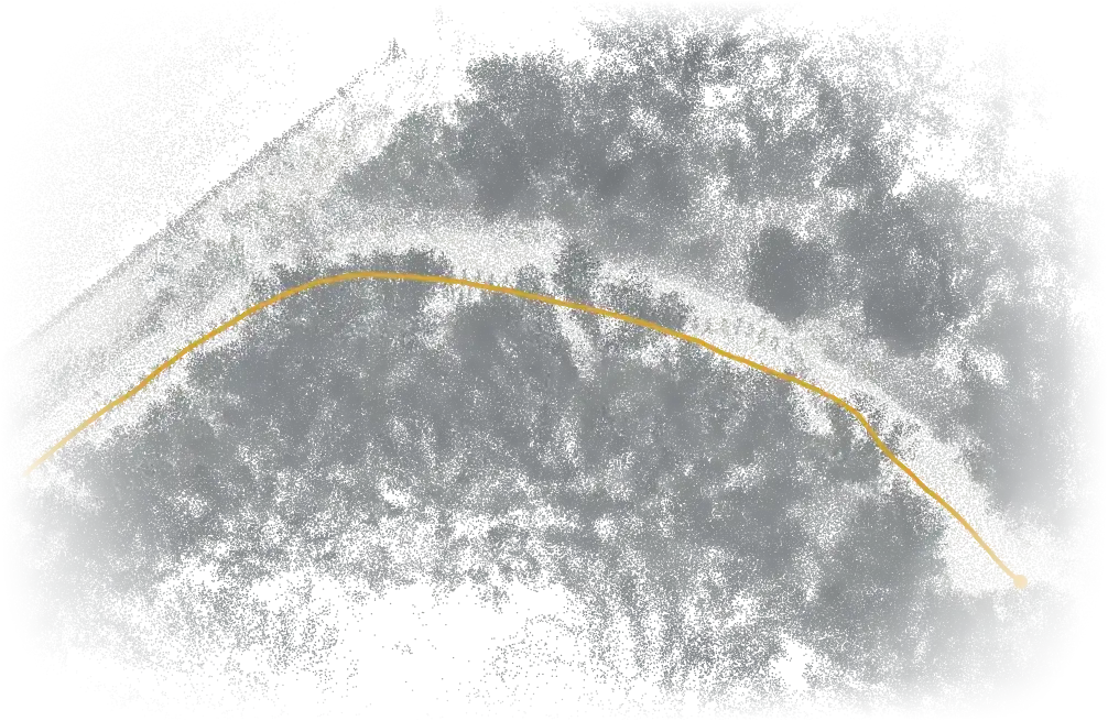 Top-down view of a forest trail reconstructed from LiDAR scans, with the robot's trajectory drawn along the path.